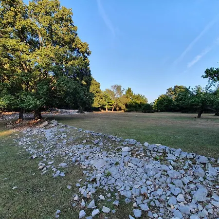 Villa Stone House Rosuja *