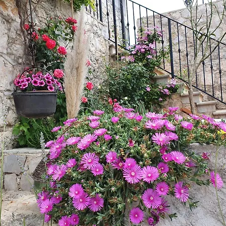 Stone House Rosuja Ivanje