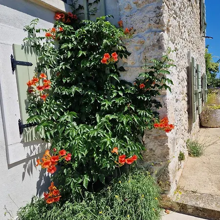 Stone House Rosuja Villa