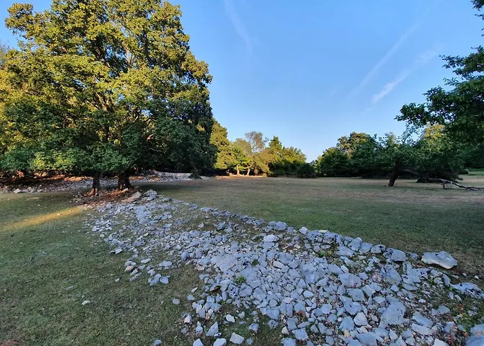 Vila Stone House Rosuja *