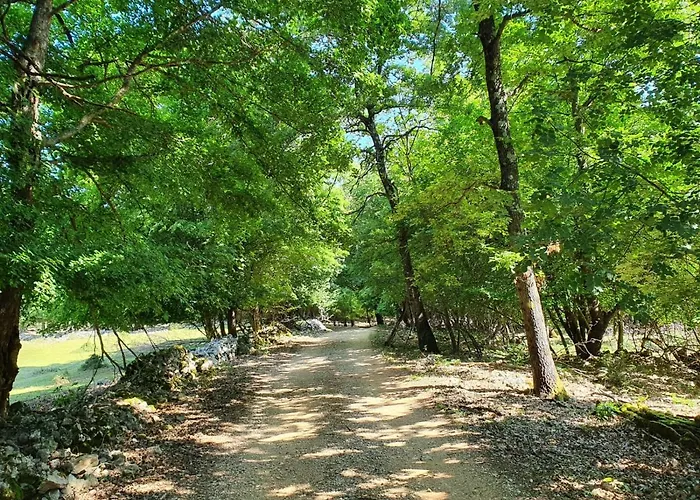 Stone House Rosuja 别墅 *