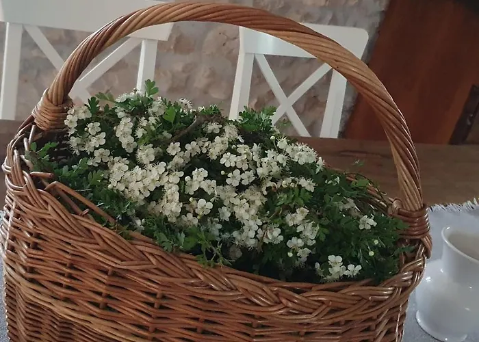 别墅 Stone House Rosuja