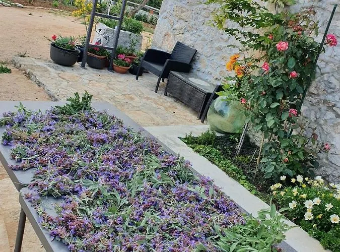 Stone House Rosuja 别墅 Ivanje