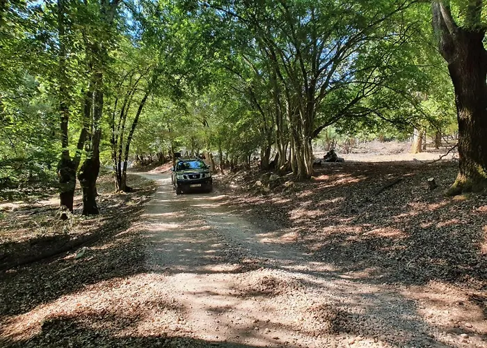 Stone House Rosuja 别墅 Ivanje