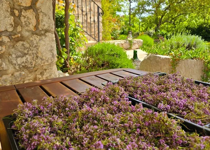 Vila Stone House Rosuja *