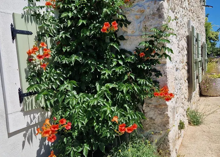 Stone House Rosuja Vila