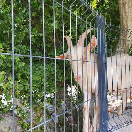 Stone House Rosuja * Ivanje