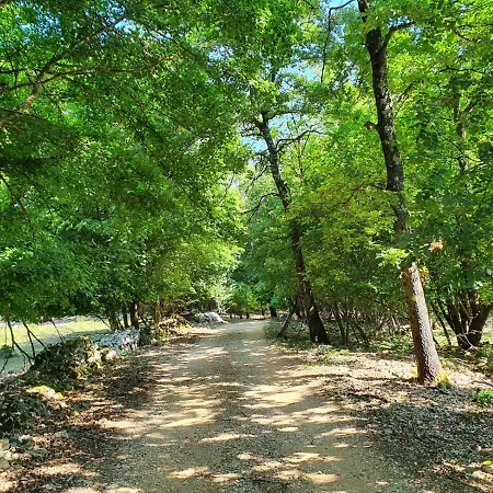 Stone House Rosuja Villa *