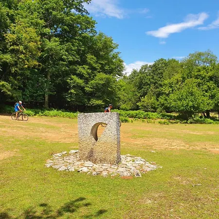 Villa Stone House Rosuja *