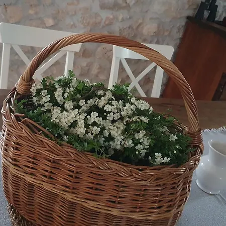 Villa Stone House Rosuja