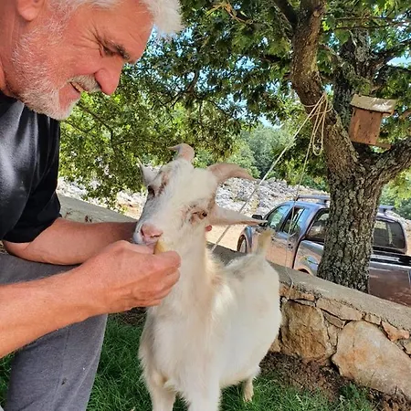 Villa Stone House Rosuja