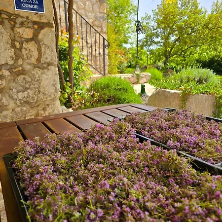 Villa Stone House Rosuja *