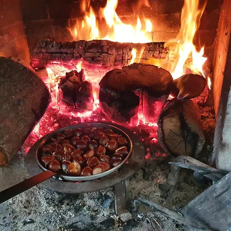 Villa Stone House Rosuja