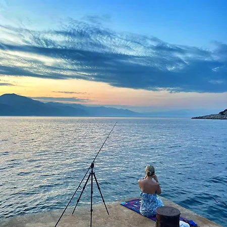 Stone House Rosuja Villa *