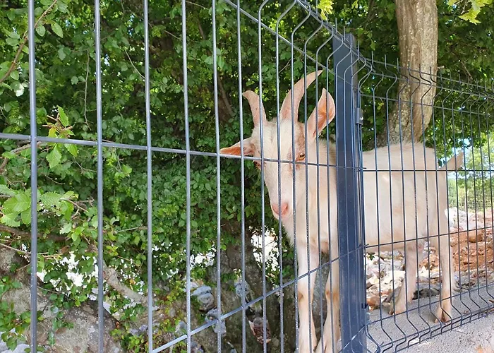 Stone House Rosuja * Ivanje