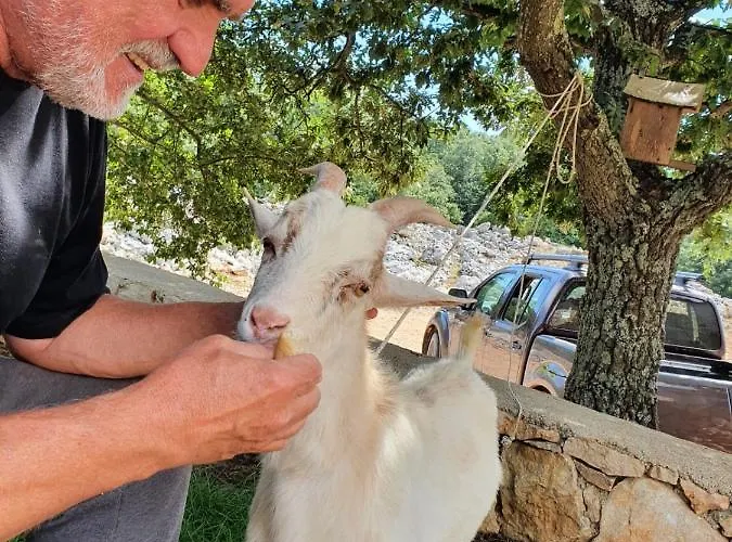 Villa Stone House Rosuja