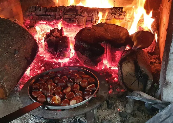 Villa Stone House Rosuja