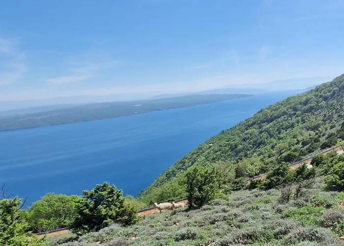 Stone House Rosuja Villa Ivanje