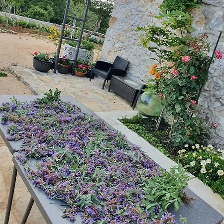 Stone House Rosuja 别墅 Ivanje