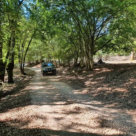 Stone House Rosuja 别墅 Ivanje