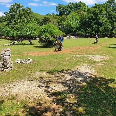 Stone House Rosuja *