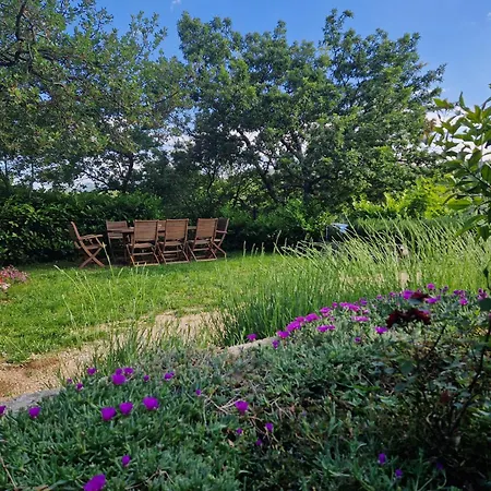 Stone House Rosuja *