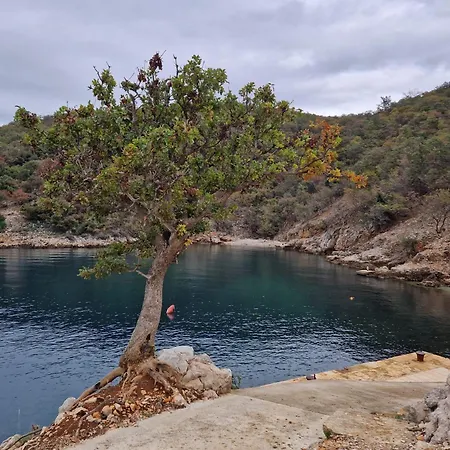 Stone House Rosuja Ivanje