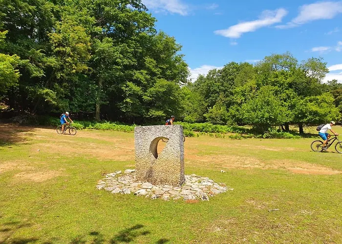 Villa Stone House Rosuja *